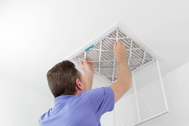 Best Professional Duct Cleaning Services  in Lawton, IA